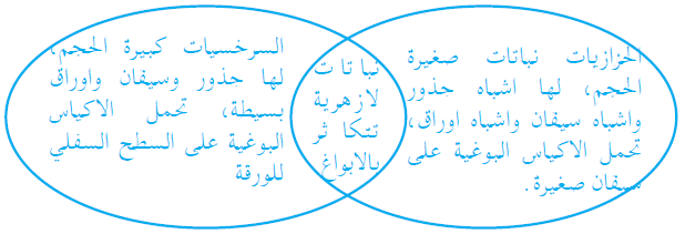 ما أوجه التشابه والاختلاف بين الحزازيات والسرخسيات؟ ما أوجه التشابه والاختلاف بين الحزازيات والسرخسيات؟